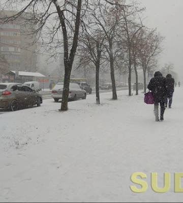 У Києві очікуються сильні пориви вітру та ожеледиця — поліція дала поради водіям та пішоходам