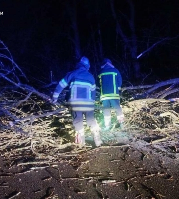 У Чернівцях поривчастий вітер повалив дерево на припарковане авто