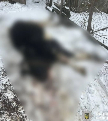 На Харківщині троє людей постраждали через російські атаки