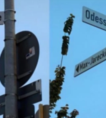 У місті-партнері Гейдельберг з’явилася вулиця на честь Одеси