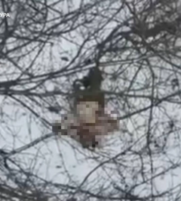 На Донеччині окупанти розстріляли полонених захисників