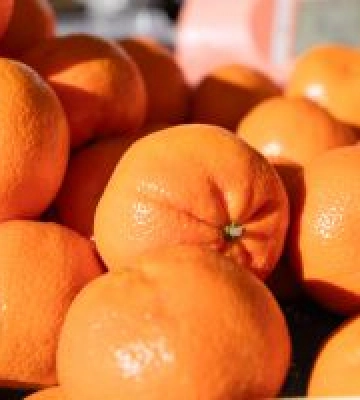 Де купити продукти до Нового року: адреси ярмарків у Києві 30 грудня – 4 січня