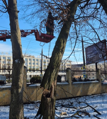 У Чернівцях у парку Шевченка прибирають повалені після негоди дерева
