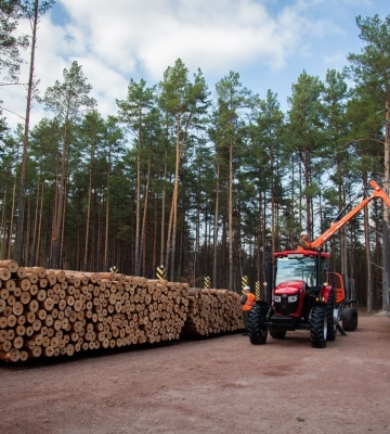 Рекординй показник. "Ліси України" у 2025 році відрахували в держбюджет 15 млрд грн