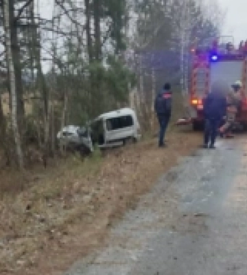 Смертельна аварія на Волині: авто врізалося в дерево