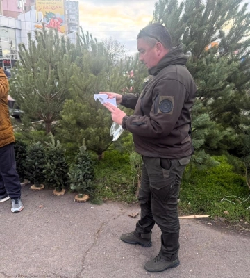 Новорічний рейд: в Одесі виявили порушення під час продажу ялинок, - ФОТО