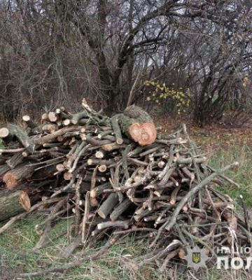 У Запорізькому районі поліція спіймала &quot;чорних&quot; лісорубів, які заготовляли дрова на зиму - фото