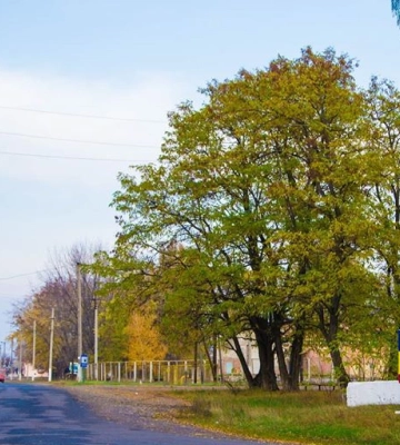 Три школи в громаді на Харківщині не можуть забезпечити “дистанційку”