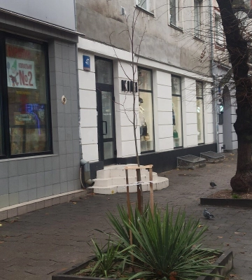 У Луцькій громаді за осінь висадили 254 дерева та 285 кущів