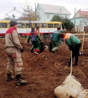В Одесі комунальники висаджують дерева