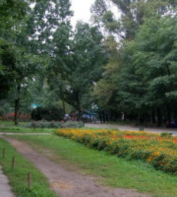 На ремонт стежок у Гідропарку витратять 5 млн гривень
