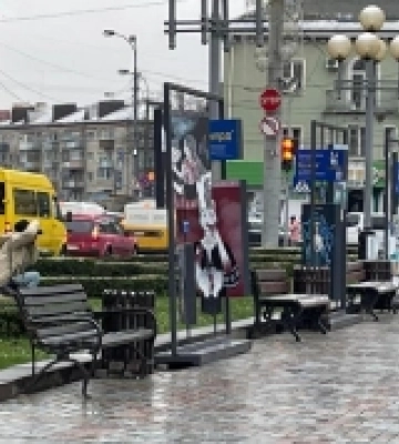 У Рівному діє вулична виставка «Разом ми – Європа». ФОТО