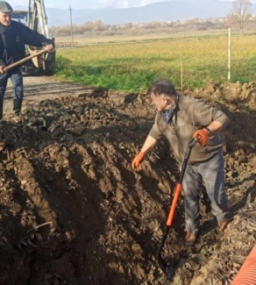 На Закарпатті науковці рятують від усихання Долину нарцисів