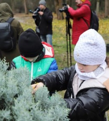 В Ужгороді висадили Алею життя у знак пам‘яті полеглих Воїнів 