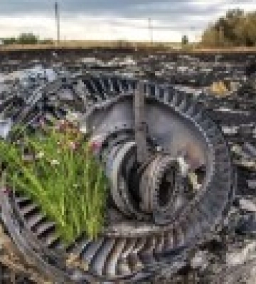Нидерланды вызвали российского посла из-за ответа на вердикт MH17