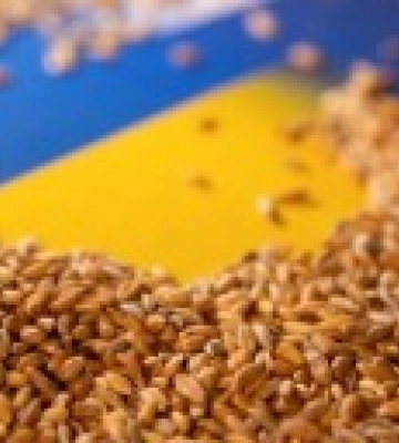 Україна придбала зерно на перші два судна для програми Grain from Ukraine - міністр