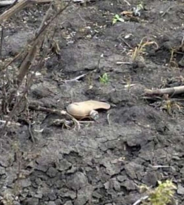 Піротехніки знищили 30 ворожих боєприпасів у Дніпропетровській області: підсумки 268 доби війни