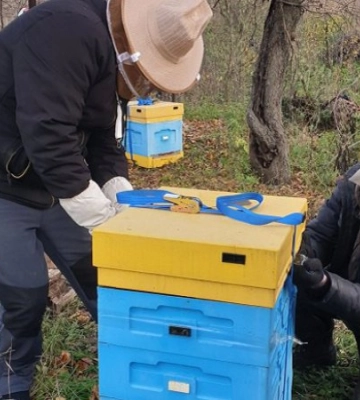Пчел из Харьковской области эвакуировали под Львов