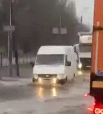 В Днепре из-за непогоды возле дома упало большое дерево