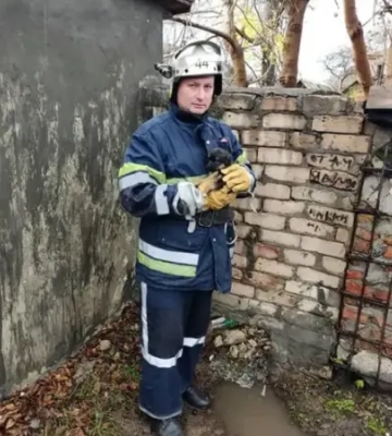 На Дніпропетровщині рятували цуценя, яке застрягло під бетонною плитою
