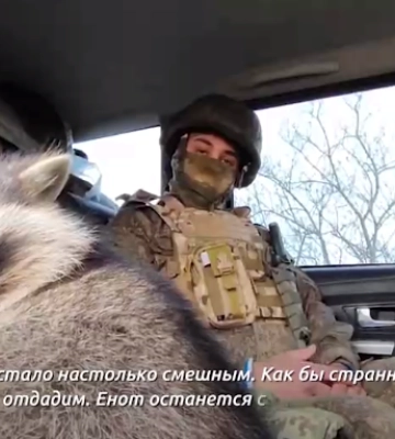 &quot;Не віддамо, він залишиться з нами&quot;: окупанти зняли відео з викраденим єнотом