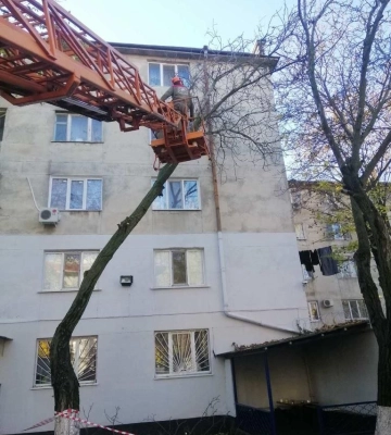 Внаслідок негоди в Одесі впали п&#039;ять дерев