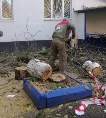 В Одесі через негоду впало декілька дерев
