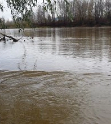 Через дощі на річках Закарпаття піднявся рівень води 