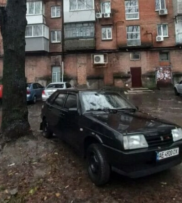 У Дніпрі внаслідок негоди гілка дерева пошкодила лобове скло легковика (Фото)