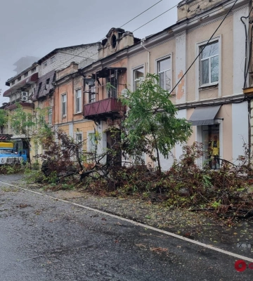 В Одессе на Канатной дерево упало на дорогу