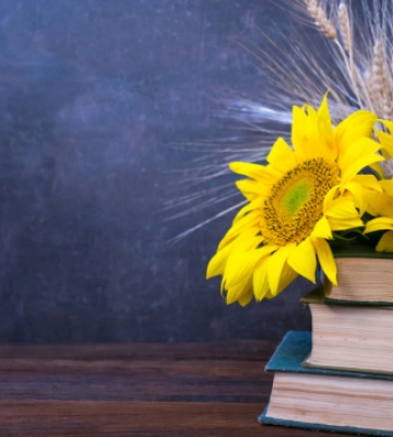 У Дніпрі зібрали понад 3,5 тисячі книжок для українців за кордоном