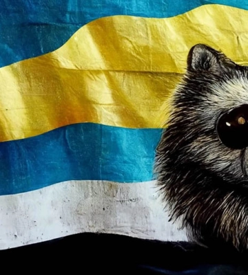 Не лише пральні машинки. Вкрадений єнот став символом "перемог" російських мародерів (ВІДЕО)