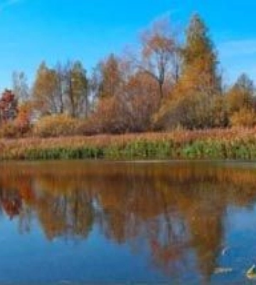 На Миколаївщині розпочинається осінньо-зимова заборона на лов водних біоресурсів