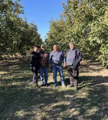 На півдні Одещини вирощування вольських горіхів французьких сортів набирає обертів 