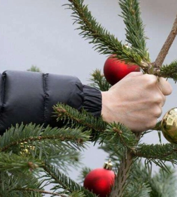 У Дніпрі планують продавати живі новорічні ялинки: де можна буде придбати (адреси)