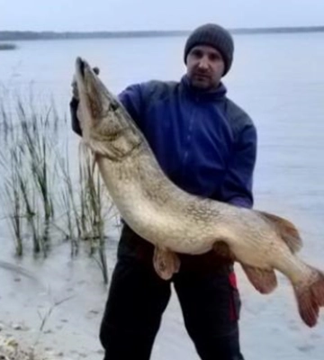 На Волині впіймали щуку рекордних розмірів