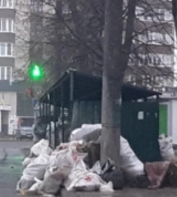 У Луцьку порушники сплатять штраф за використання сміттєвих контейнерів не за призначенням