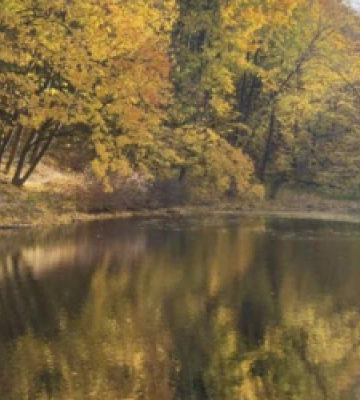 Апеляційний суд підтримав заборону забудови біля водойми у Снопківському парку