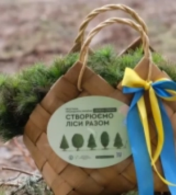 Програма Президента «Зелена країна» на Волині: як це було восени 2022-го