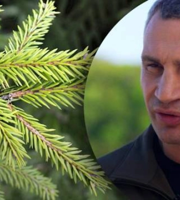 Символическая елка в Киеве обязательно будет, – Кличко
