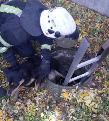В Одесі успішно здійснили рятувальну операцію