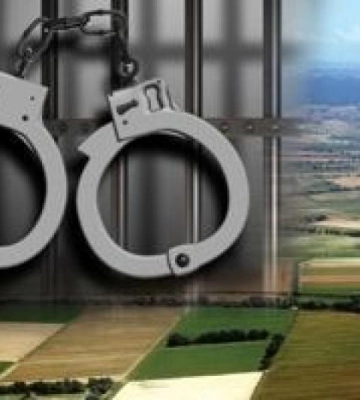 На Закарпатті держреєстратора судитимуть за службову недбалість з вибуттям землі на 5 млн грн (ФОТО)