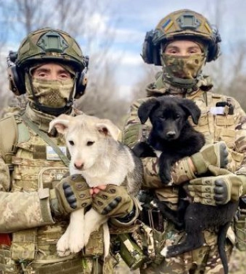 На Запоріжжі нацгвардійці прихистили чотирилапих друзів - фото
