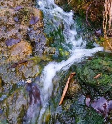 Як виглядає водоспад під Запоріжжям в останній місяць осені - фото