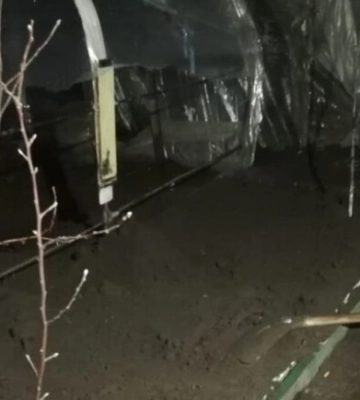 У Дніпропетровській області чоловік забив до смерті жінку, а тіло закопав у дворі