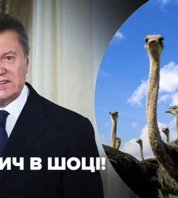 У Запорізькій області через обстріли горіли житлові будинки та ферма