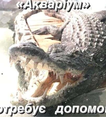 &quot;Акваріум&quot; у Дніпрі потребує допомоги