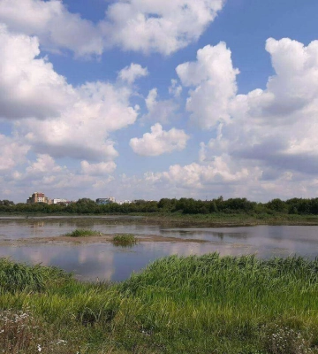 У Луцьку очистять заплаву річки Стир