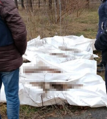 В Харьковской области нашли останки взрослых и детей, погибших от бомбардировок с самолетов