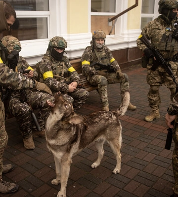 Военное положение: как военный может изменить воинскую часть Военное положение: как военный может изменить воинскую часть